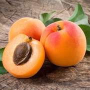 Apricots