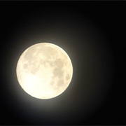 The Moon