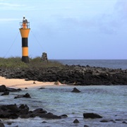 Explore Punta Suarez in Española Island, Galapagos