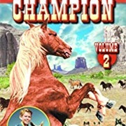 The Adventures of Champion