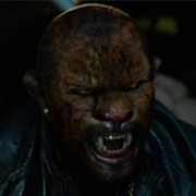 Yaguaraté - Jaguar Wesen