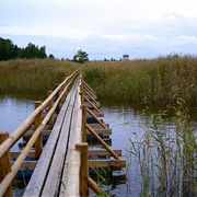 Kaņieris (Lake With Path & Birdwatching Tower)