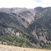 Lincoln National Forest