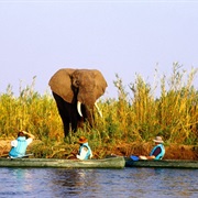 Lower Zambezi National Park