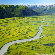 Copper River Delta