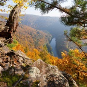 Thayatal & Podyji National Parks, Austria / Czech Republic
