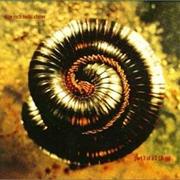 Nine Inch Nails - Closer