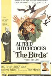 Birds (1963)