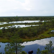 Ķemeri National Park