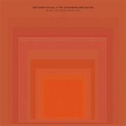 Matthew Halsall & the Gondwana Orchestra - When the World Was One