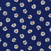 きのこ帝国 - ロンググッドバイ