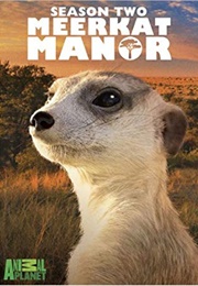 Meerkat Manor Season 2 (2007)