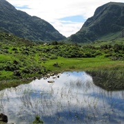 Killarney National Park