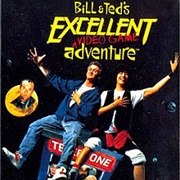 Bill & Ted's Excellent Video Game Adventure