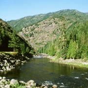 Clearwater National Forest