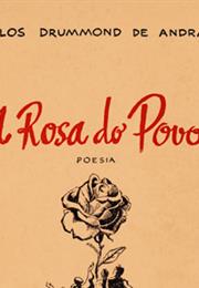 Rosa Do Povo