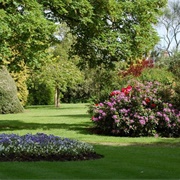 Musgrave Park, Belfast
