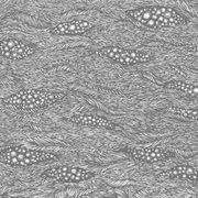 Innercity Ensemble - II