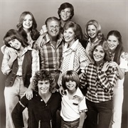The Bradfords (Eight Is Enough)