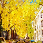 Meridian Hill Park and Swann Street