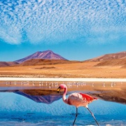 Exploring Chile's Atacama Region