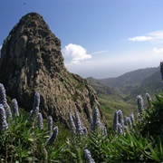 Gomera