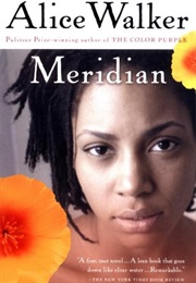 Meridian (Alice Walker)