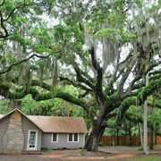 Washington Oaks Gardens State Park, Florida