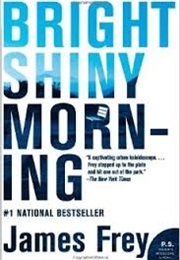 Bright Shiny Morning (James Frey)