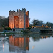 Blarney Castle and Bunratty Castle