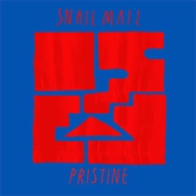 Snail Mail: "Pristine" (2018)