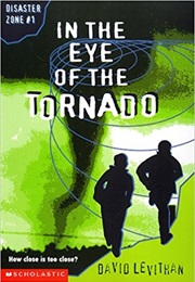 In the Eye of the Tornado (David Levithan)