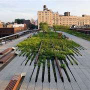 Stroll Up and Down the High Line