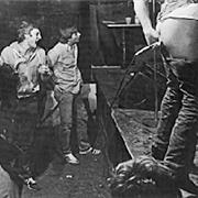 Other (Since Many Are Not Listed)