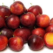 Cherry Plum