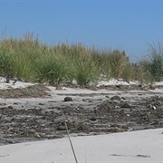 Plum Tree Island National Wildlife Refuge