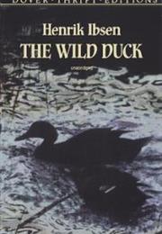 Wild Duck, Henrik Ibsen