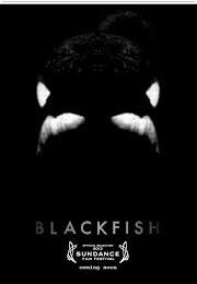Blackfish