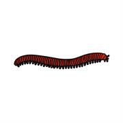 Millipede