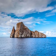 León Dormido, Galapagos Islands