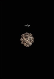 Solip (Ken Baumann)