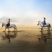 Take Horse-Riding Lessons