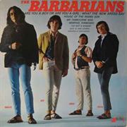 Barbarians, "Are You a Boy or Are You a Girl"