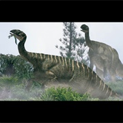Plateosaurus