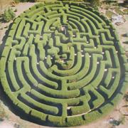 Go Through a Maze