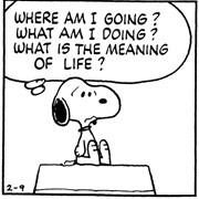 Had an Existential Crisis