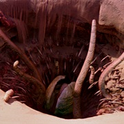 Sarlacc