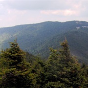 Mount Mitchell