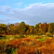 Silvio O. Conte National Fish & Wildlife Refuge