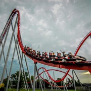 Love Roller Coasters